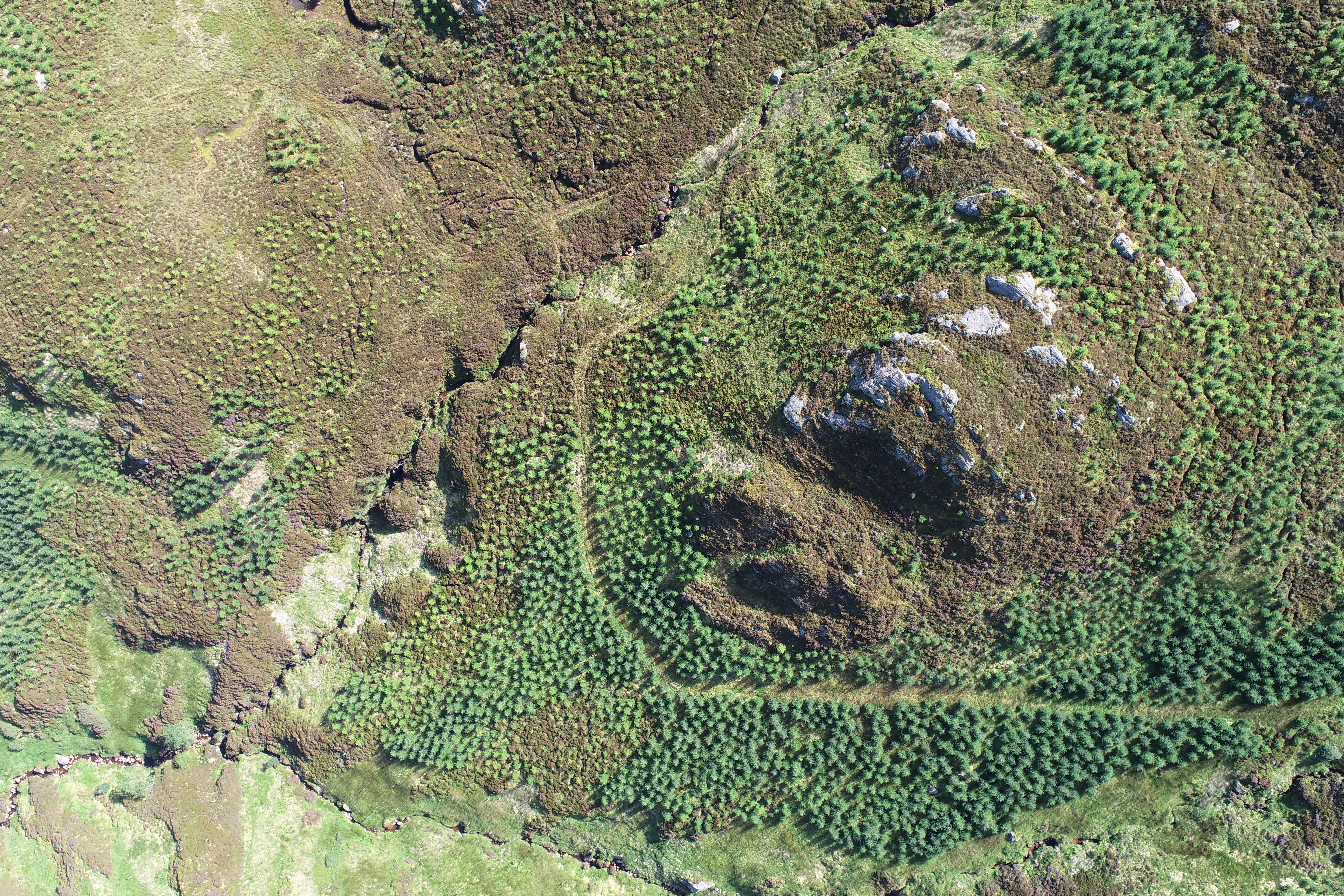 Aerial UAV image of new planting site in Scottish Highlands