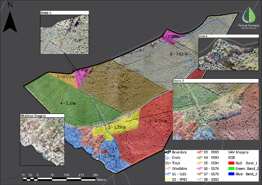 Image of a stratified woodland showing UAV imagery overlayed with GIS interpretation layers