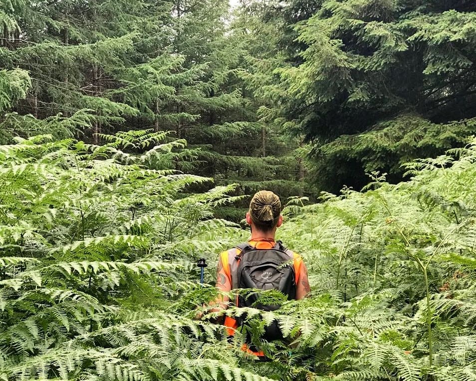A forest surveyor walking through high bracken and undergrowth into a forest to undertake a survey